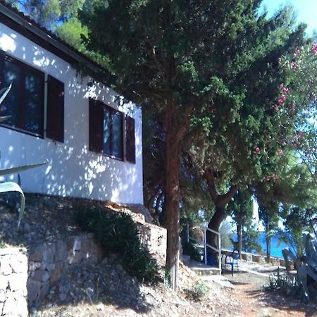 Tourist Resort Milna Vis Kültér fotó